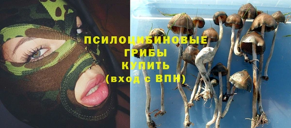 тгк Няндома
