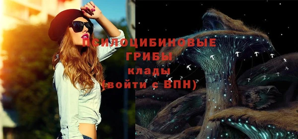 дурь Нязепетровск