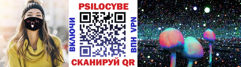 Псилоцибиновые грибы Psilocybine cubensis  Североуральск 